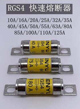 快速熔断器RGS4-10A 16A 20A 25A 35A 40A 45A 50A 55A 保险丝管