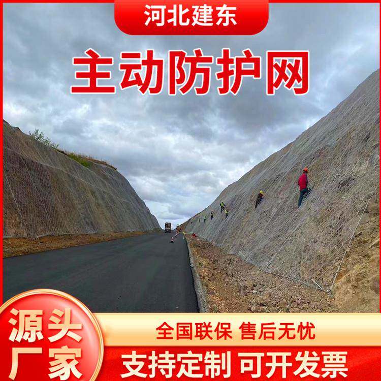 主动防护网固土护坡钢绳网 公路道路山体落石防坠网 菱形格栅网