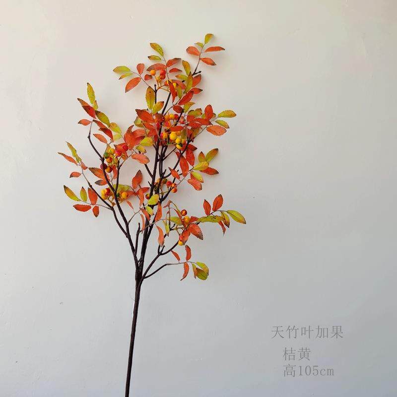 天竹叶秋桔假叶子植物树叶中式植物植物枫叶单只/束假花风花植物