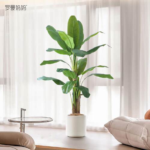 罗曼妈妈 北欧ins风仿真绿色植物盆栽大型芭蕉树假盆景落地植物摆