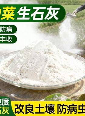 生石灰园艺种植养花种菜种花消毒杀菌剂石灰粉土壤改良生石灰粉