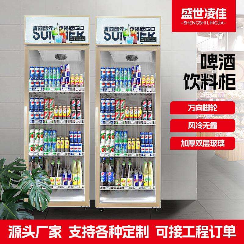啤酒饮料柜双层玻璃单门双门饮料柜商用冷柜立式啤酒冷藏柜商业用
