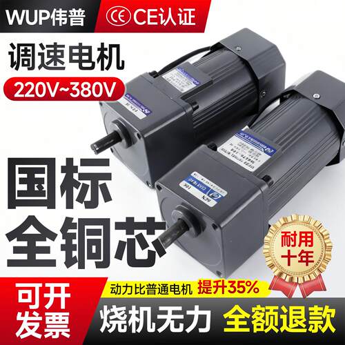 伟普调速电机6-400w可调无极变速 微型小型齿轮减速电机交流220v