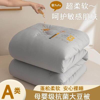 A类秋冬加厚大豆蛋白纤维被子母被双胎被子学生春秋被宿舍冬被
