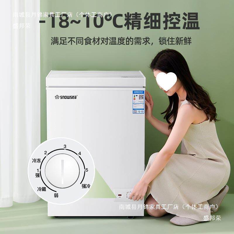 串串冻货摆摊柜冰柜小型家用商用大容量减霜全冷冻冷藏柜节能省电