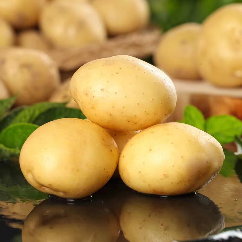 恩施高山小土豆黄心新鲜洋芋迷你土豆湖北马铃薯当季蔬菜包邮鸡蛋