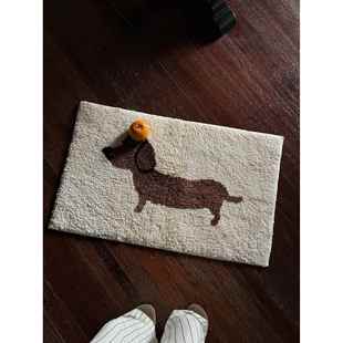 好腊小狗韩式 簇运绒地垫户地垫脚垫肠门入垫吸水防滑机器织ERL造