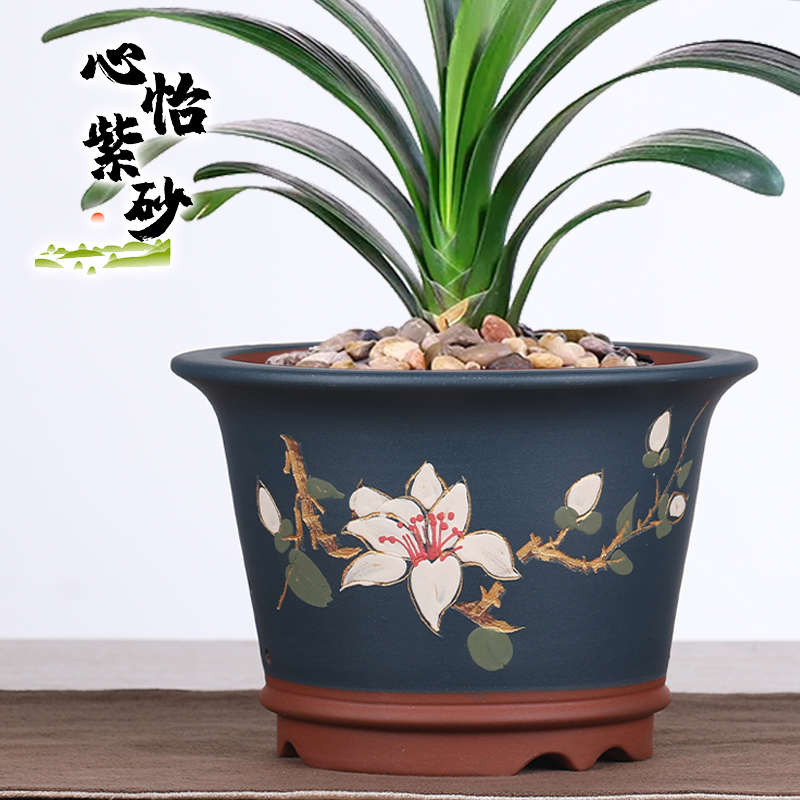 精品宜兴紫砂花盆兰花盆君子兰吊兰盆栽绿植中国风兰草盆景盆清