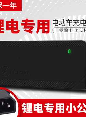新国标小公插锂电池电动车充电器48V2A36V60V24V72V3A电车锂离子