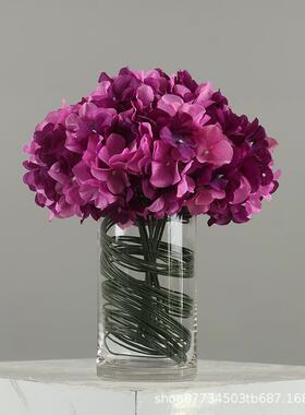 NuSun 贵宾/泰迪幼犬犬粮 2500g简约现代轻奢样板间电视柜茶几仿