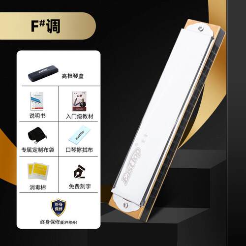 高档ASTOP东方鼎重音口琴TE2110演奏初1级2T个调性初学生成人专业