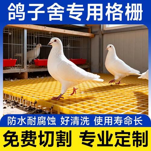 厂家玻璃钢格栅盖板鸽子舍养殖场漏粪地格栅污水排水沟网格板