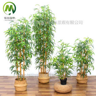 仿真绿植造景假竹子仿真盆栽 仿真植物假绿植景观用仿真竹子盆景