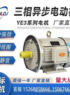 YE3三相异步电动1180/132/160/1YE3-315/5/20W0K千瓦24机68级全铜