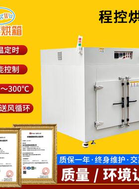 程控烘箱阶梯升温烘箱斜率控温烘箱程控干燥烘箱