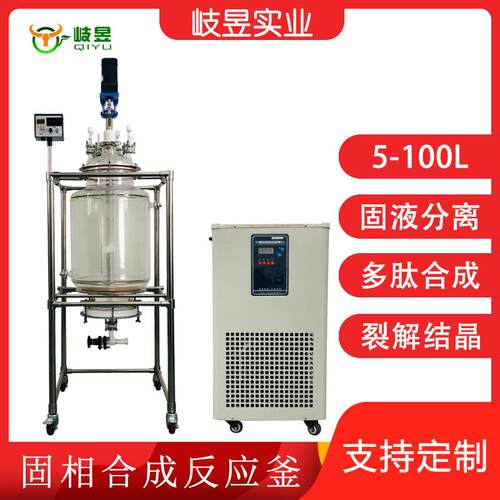 岐昱实验反应器100L专业厂家高效过滤结晶固相多肽合成玻璃反应釜