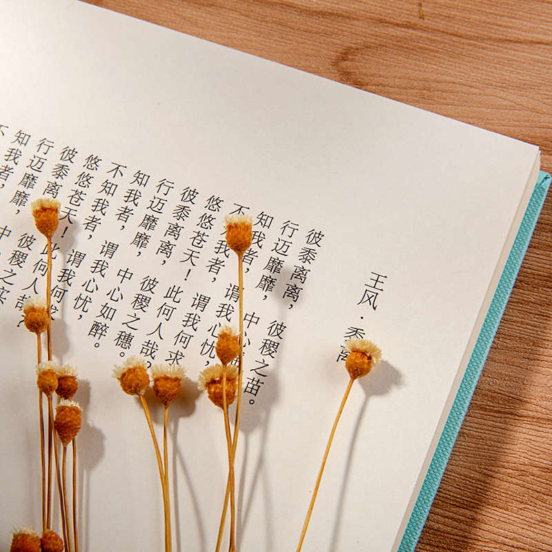 520诗经笔记本套装方本精装笔记本 励志心理学硬壳包装双胶纸内页