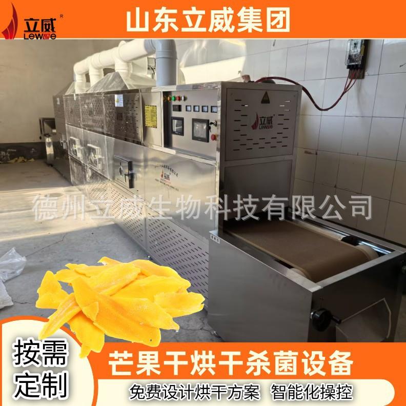 芒果干二次烘干设备 果干果脯隧道式杀菌设备 微波智能化干燥机