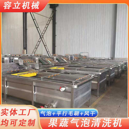 气泡式大姜清洗机 输送式白姜生姜清洗去泥机 全自动黄姜清洗机