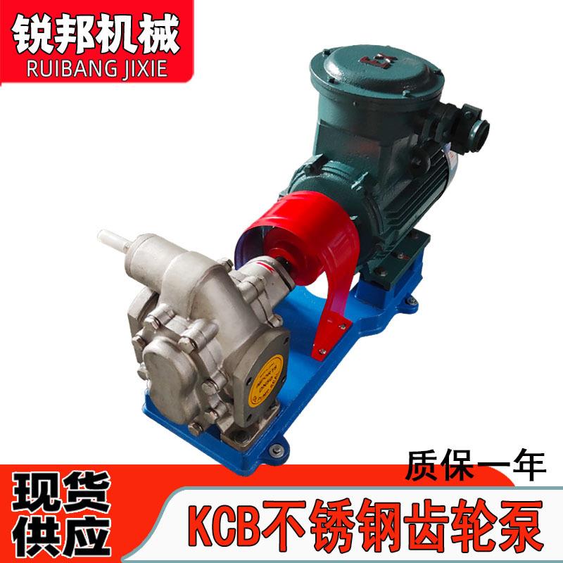 B200齿轮泵 304不锈钢植物油电动输送泵食品抽油泵