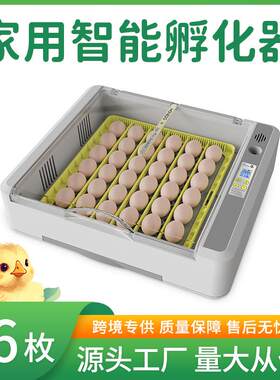 境63UIC跨枚鸡鸭鹅类家用小型全自动智能鸟孵化出雏一体孵蛋器
