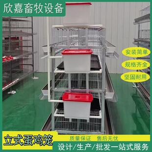 鸡笼三层四层四门五门蛋鸡笼养殖场H型立式手摇电动清粪带粪盘