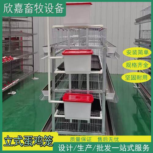 鸡笼三层四层四门五门蛋鸡笼养殖场H型立式手摇电动清粪带粪盘