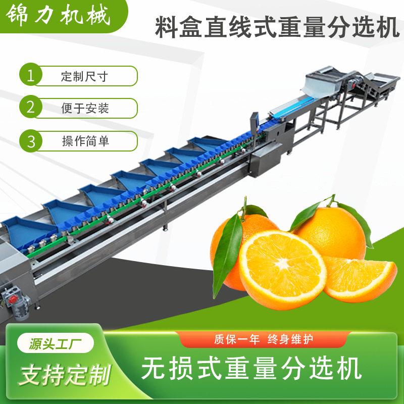 水果直线料盒式柑橘分选机多等级多规格智能分选橘子沃柑柠檬分拣