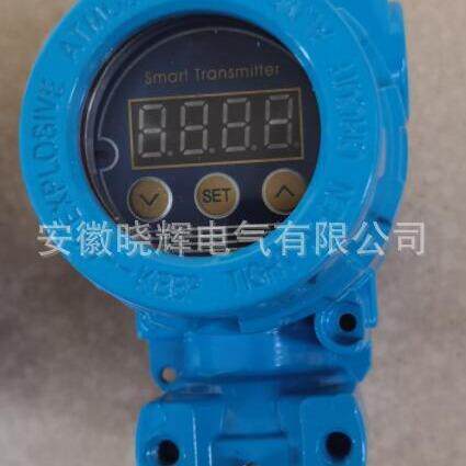 一体化温度变送器现场显示表头XHSWP-XET100