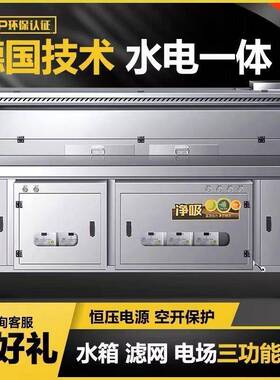 水电复合油无烟净化烤车商用烧烤烧烟754摊净化器摆烧烤车地摊