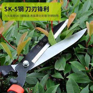 老伙计铆源头厂家品草坪剪钢精整柄篱剪修枝剪花园艺修枝锰钢枝剪