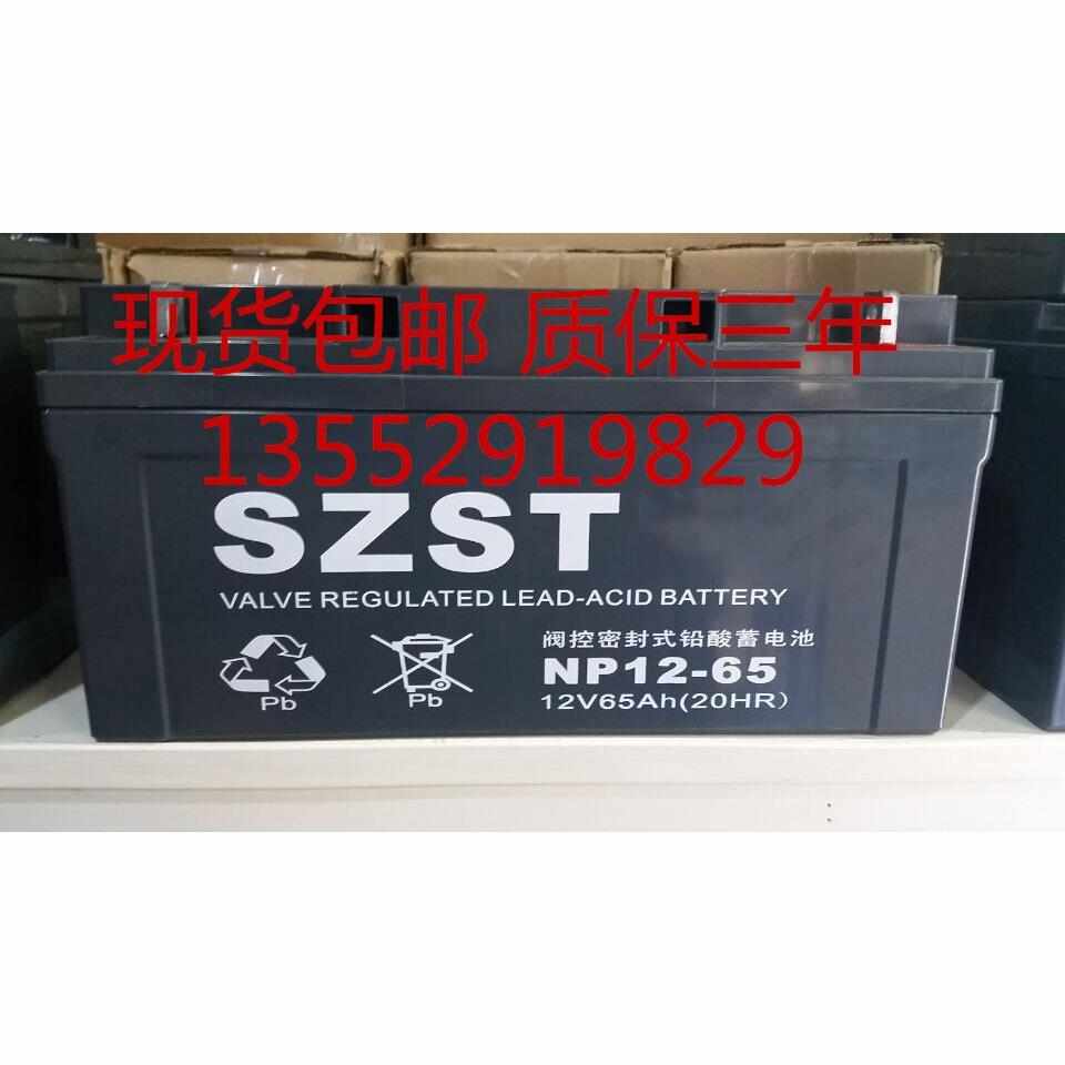 SZS阀控TK密封式铅酸蓄电池NP65-12 12V65AH电池UPS不间断电源用