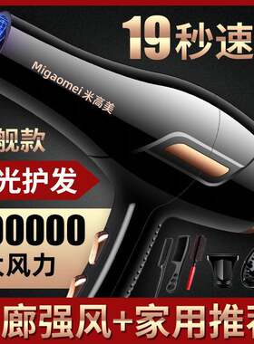 吹风机家用负离子护发大功率耐用发廊大风力发型师专用电吹风厂家