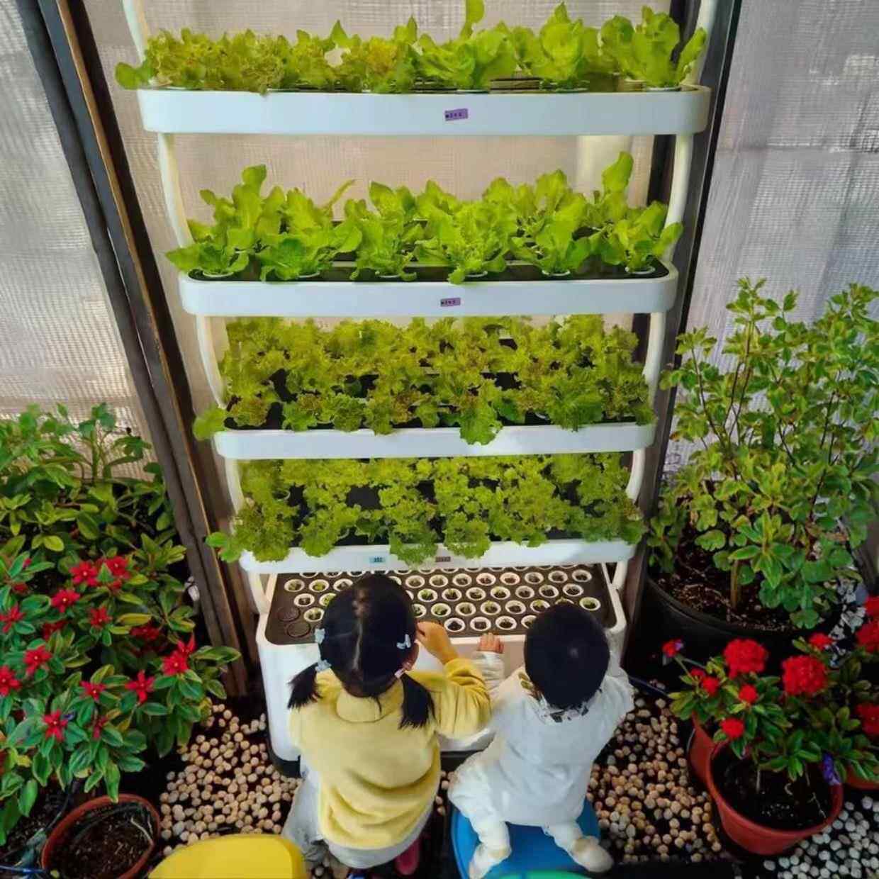 水培蔬菜花卉柜室内智能种植机家庭阳台种菜神器无土栽培成套设备
