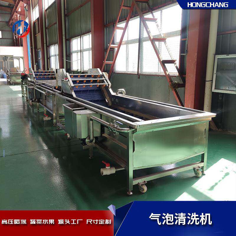 百香果清洗机全自动洗菜设备高压喷淋大枣清洗线
