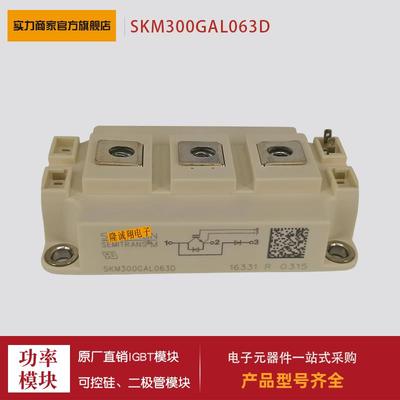 供应 功率二极管/IGBT模块SKM200GAL176D SKM300GAL123D现货