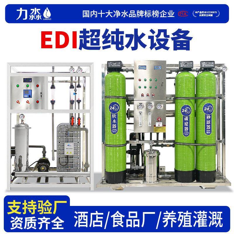 EDI超纯水设备工业纯净水双级反渗透设备工业实验室去离子水机器