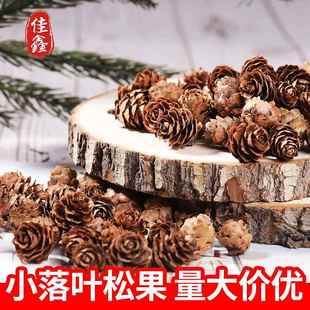松果小落叶松果工DIY工艺品手工吊灯挂价装饰品道具华北松花