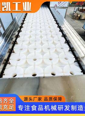 果核脱核机 不锈钢大型水果去核机 桃子青枣红枣车厘子核肉分离机