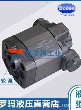 BODEN BHP2.6B0/BHP2.6A1/BHP2.6A2 DSR36/38/40/44-R 博顿齿轮泵