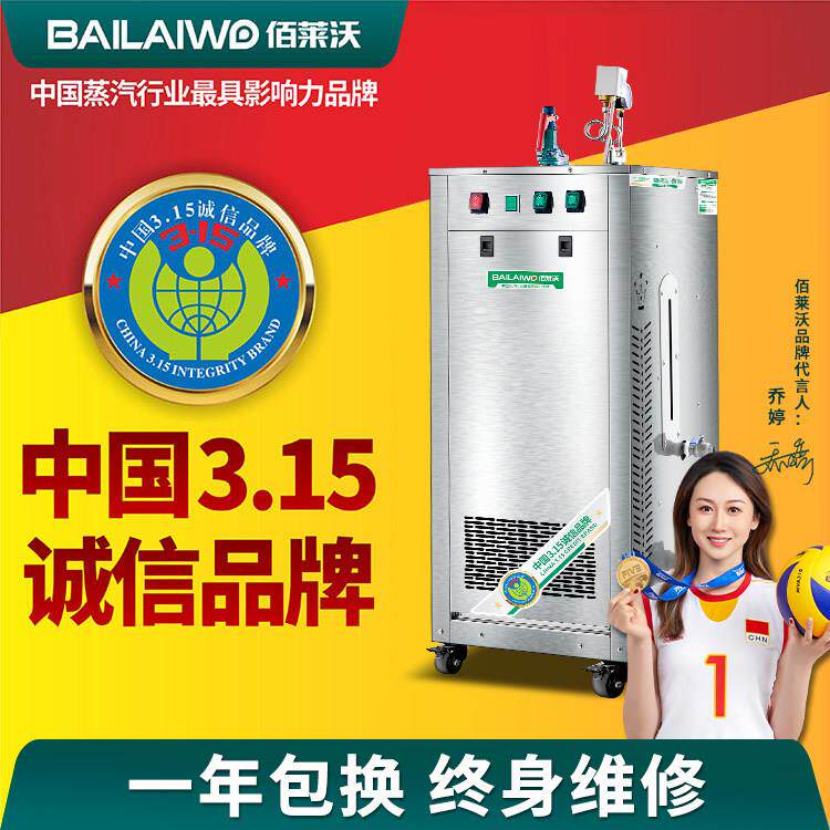 商用蒸汽产生器做豆腐煮豆浆专用蒸气机大型电蒸电加热蒸气锅炉气