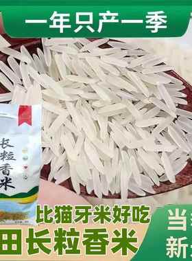 贵州梯田长粒香米10斤装新米农家晚稻大米5kg自种软糯新稻猫牙米