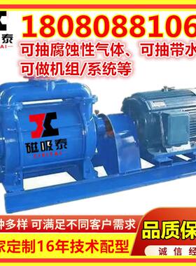 真空泵SK20M3/min水环泵4KW水环式真空泵消失模铸造真空系统机组