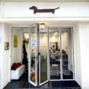 铝合金折叠门全景推拉隔断门阳台推拉无底轨折叠门