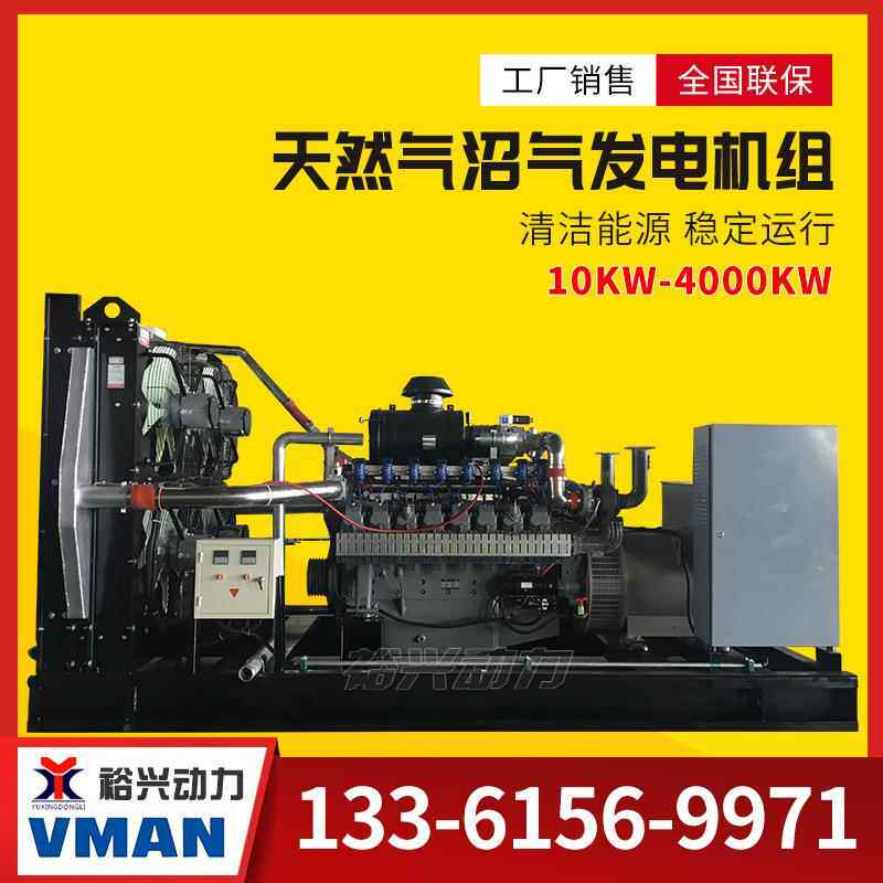 重汽120 150 200 250KW燃气发电机组 无刷250千瓦备用沼气发电机