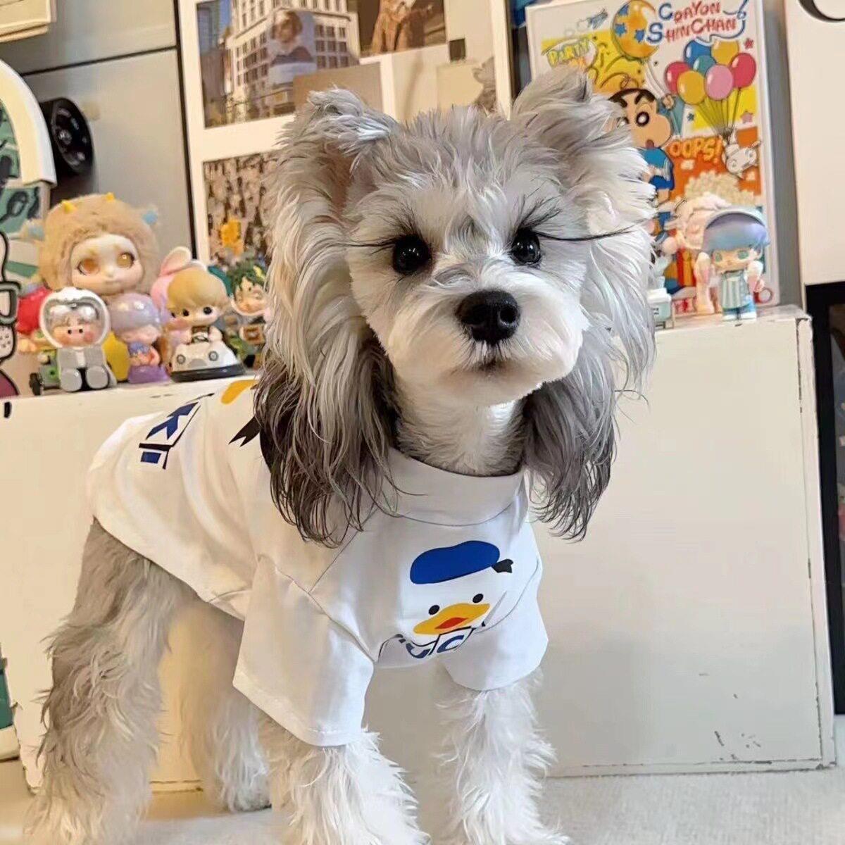 小型犬猫咪短袖透气防掉毛四季衣服居家水手鸭宠物可爱宠物用品