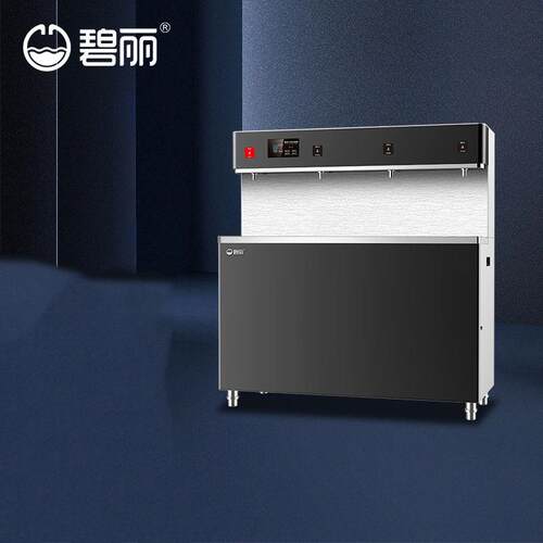 立式碧丽商用水机学校饮水机过滤引水全温不锈钢直饮水厂家一体