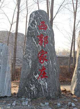 泰山石原石刻字庭院景观置石园林花园草坪石校训石公园景区大石头