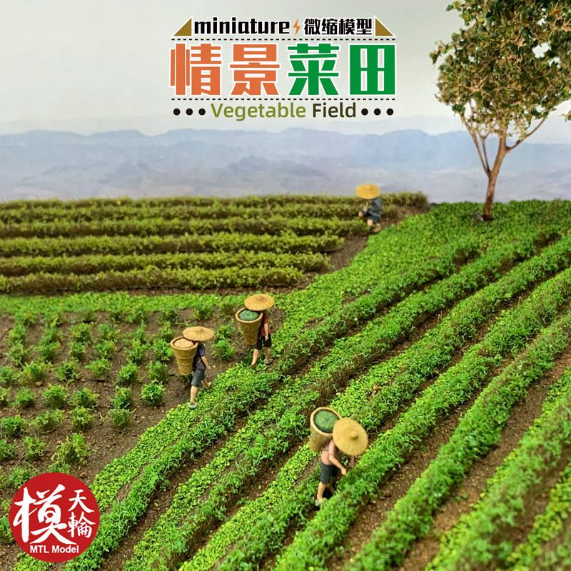 情景菜田 仿真田园小草模型草蔟场景观 静态建筑沙盘材料diy手工
