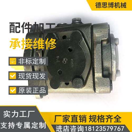 注塑机械高低压叶片泵PVV21-1X-040-18RA15DDMC液压泵 橡塑机械泵